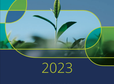Banco Patagonia Memoria Integrada 2023