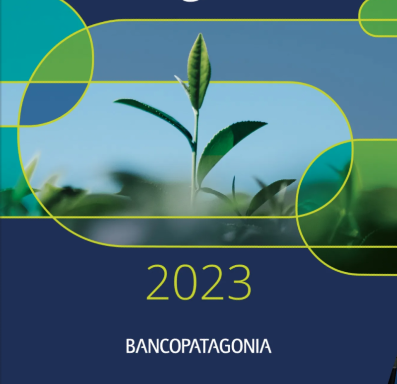 Banco Patagonia Memoria Integrada 2023