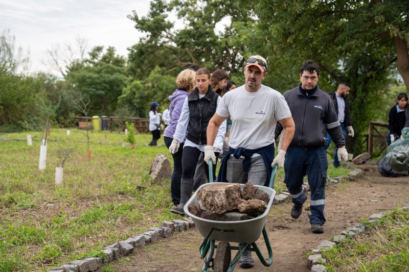 Programa de Voluntariado de Metrogas