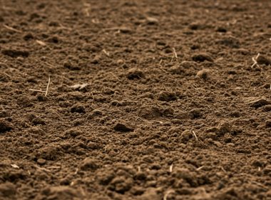 Syngenta agricultura regenerativa