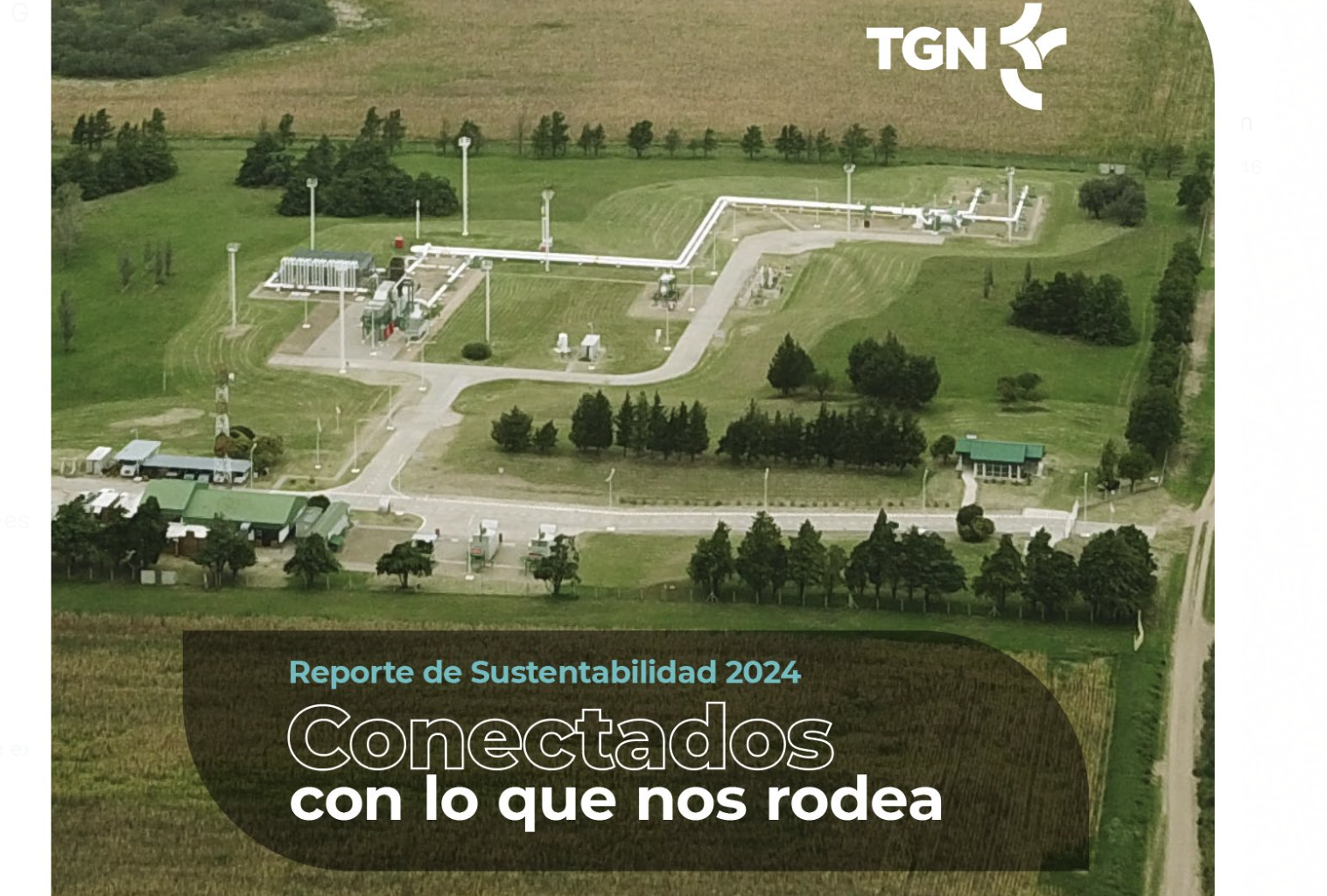 TGN reporte