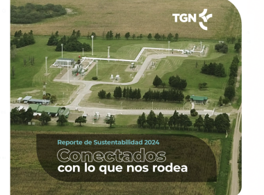 TGN reporte