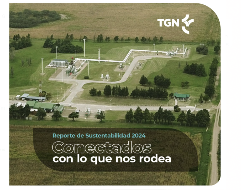 TGN reporte