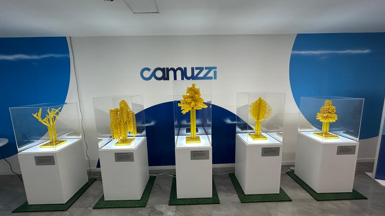 Camuzzi-Vuelta al Caño